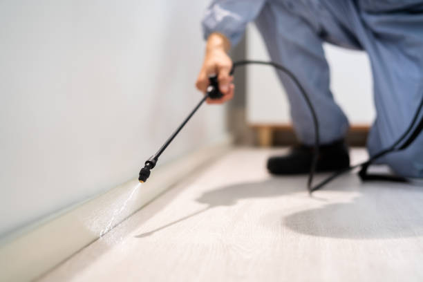 Bed Bug Pre-Treatment Preparation Assessment in Alturas