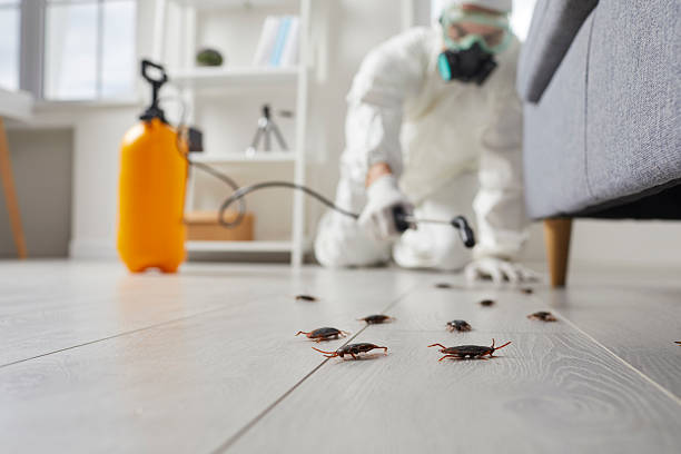 Post-Treatment Bed Bug Interceptor Monitoring in Alturas