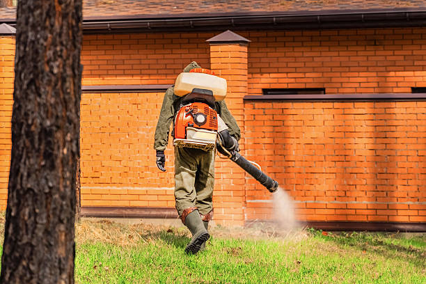 Bed Bug Clearance Verification and Documentation in Alturas